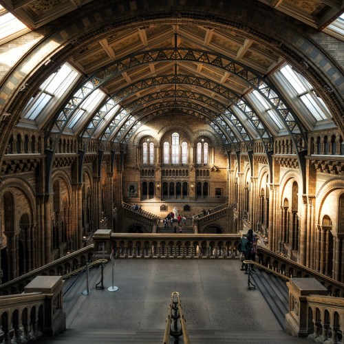 The Natural History Museum 