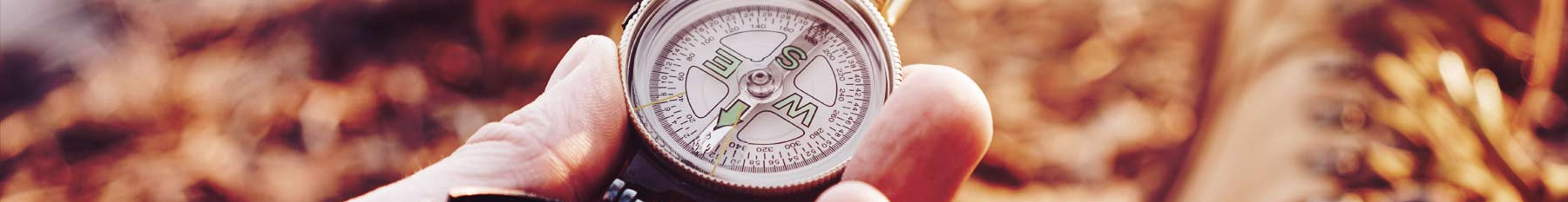 Hand holding compass