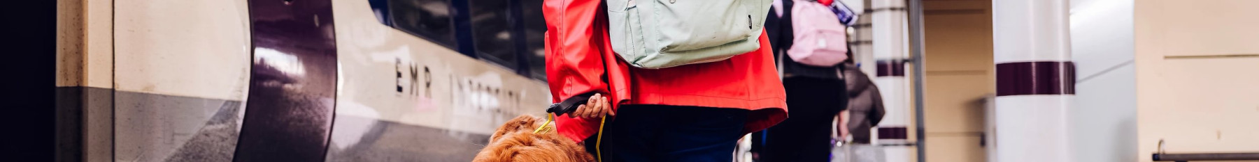 passenger with a dog