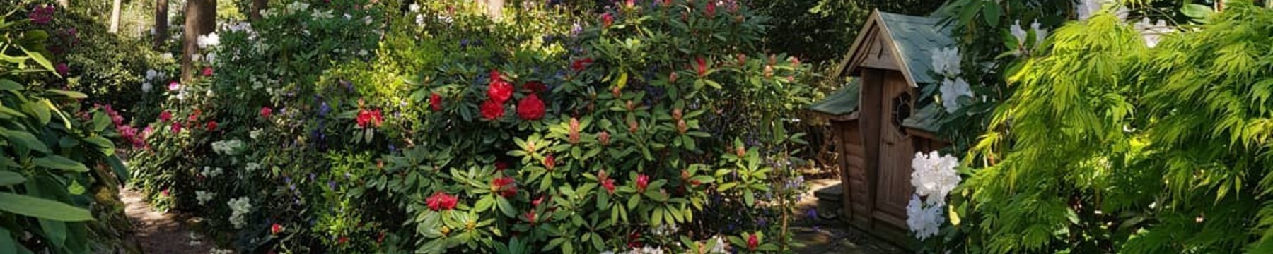 Flowers in Lea Garden