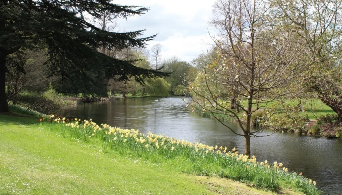 Syon Gardens and Great Conservatory