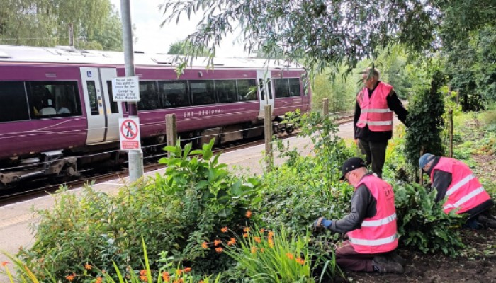 Gardening on the North Staffordshire line