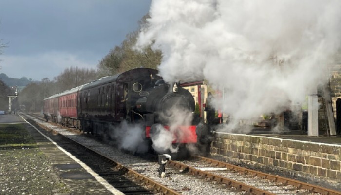 Waleswood departs Darley Dale