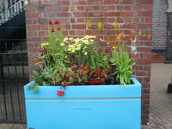 Image of Longton's recently installed planter called "Fire" containing red and orange coloured flowers and plants.
