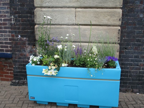 An image of one of the newly installed large planters at the station "Ice" containing blue and white coloured flowers and plants. 