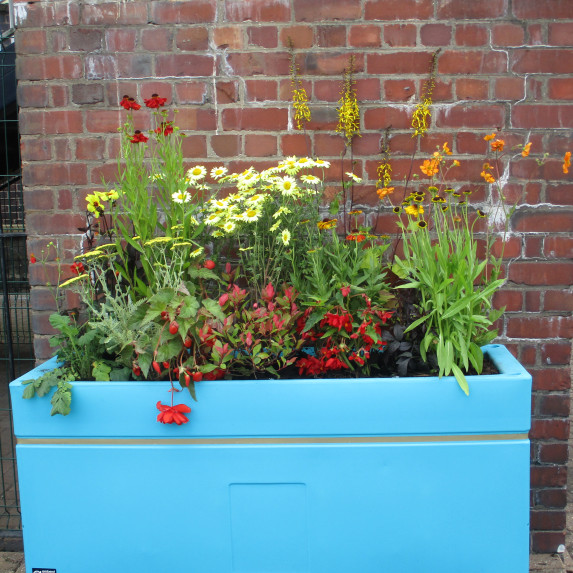 Image of Longton's recently installed planter called "Fire" containing red and orange coloured flowers and plants.