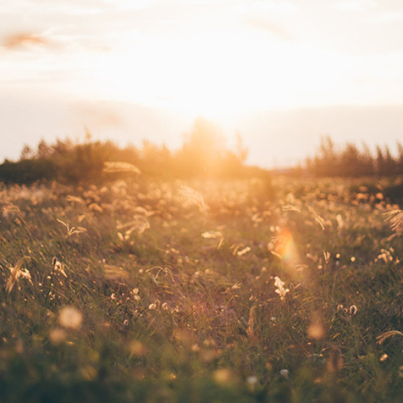 Breathe in the fresh air.