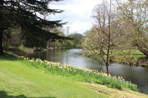 Syon Gardens and Great Conservatory