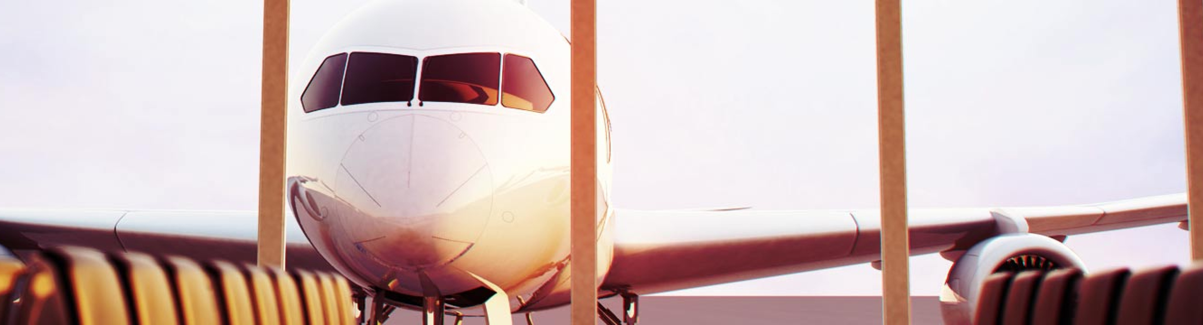 View of plane from departure lounge 