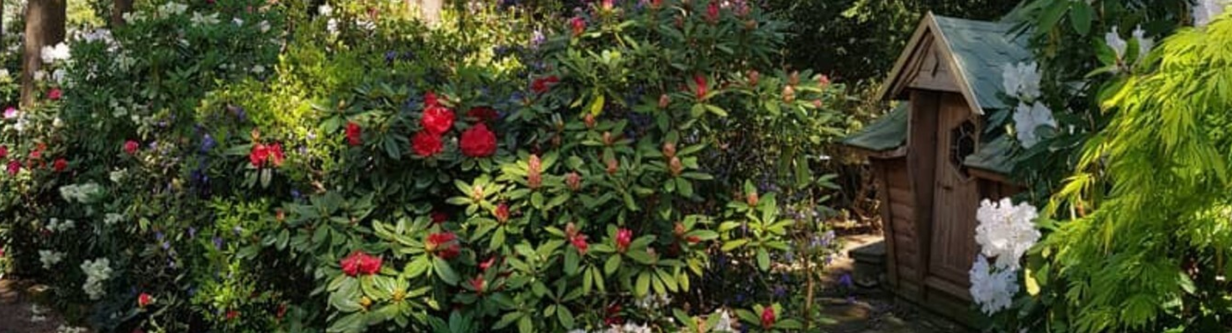 Flowers in Lea Garden