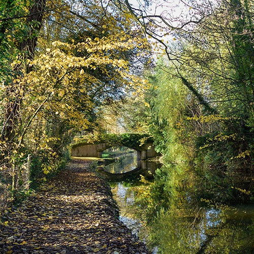 Chesterfield Canal