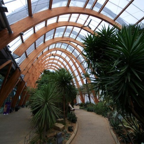 The Winter Garden
