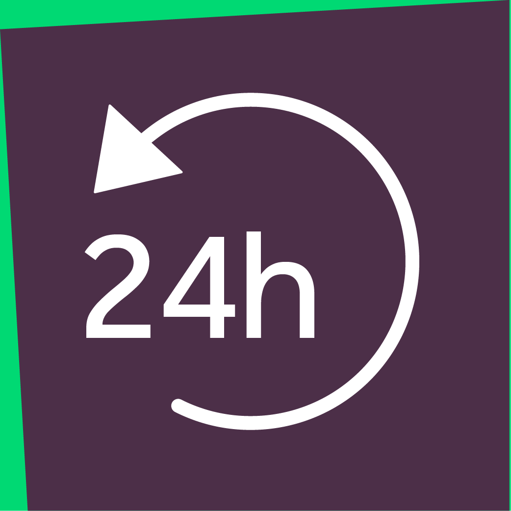 Icon for receive your tickets 24 hours before travel